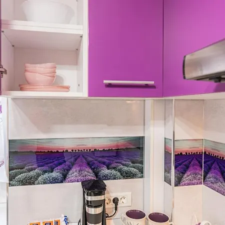 Lavender Coressi *