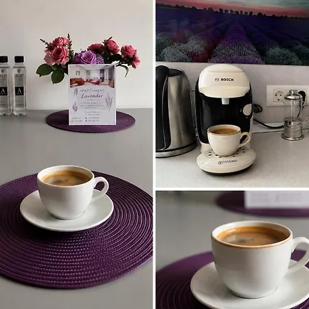 Lavender Coressi Брашов
