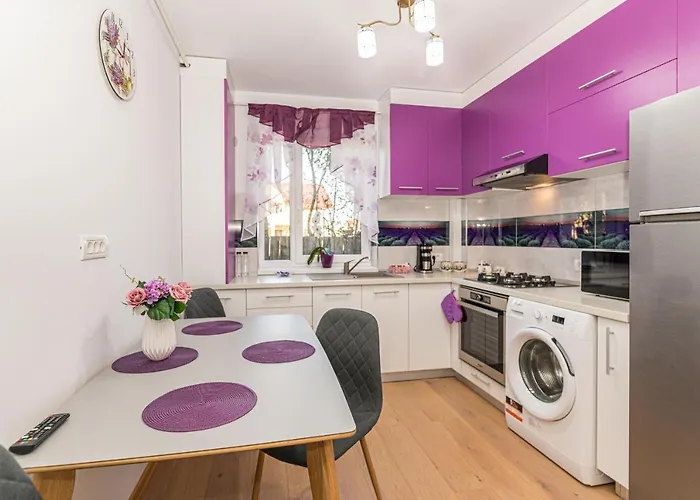 Lavender Apartment Brasov