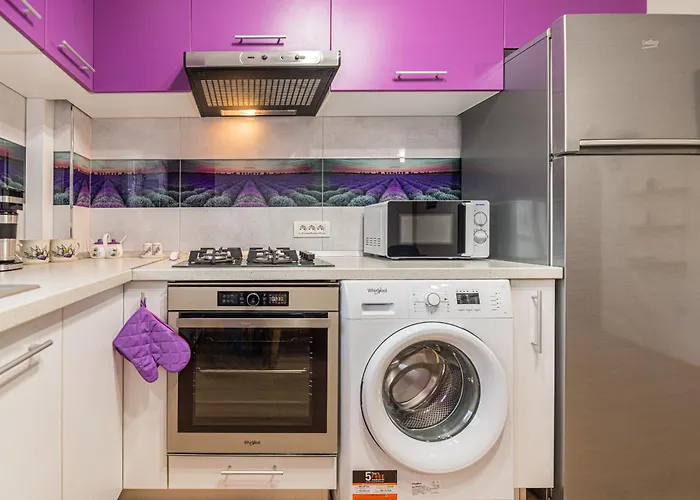 Lavender Daire Braşov