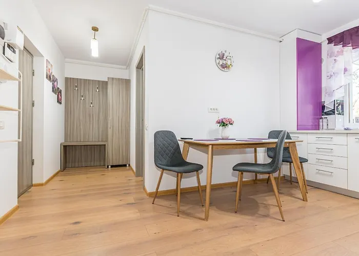 Lavender Apartment Brasov